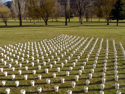 Rows of Vases on the Grass Glenwood Springs, CO